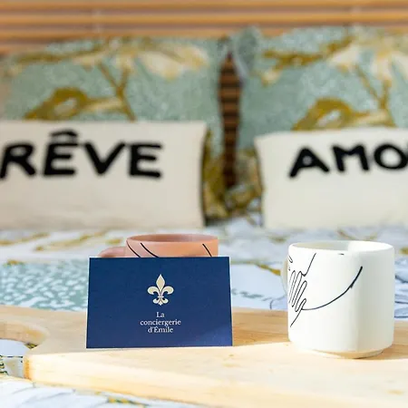 Cote Cour - Centre Ville- Calme - Charme - 4 Voyageurs *