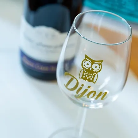 Apartment Cote Cour - Centre Ville- Calme - Charme - 4 Voyageurs Dijon