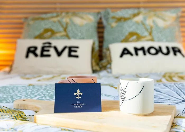 Cote Cour - Centre Ville- Calme - Charme - 4 Voyageurs *