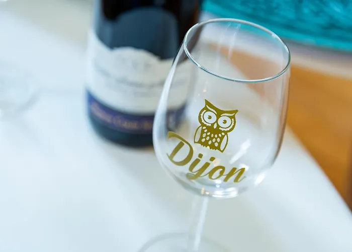 شقة Cote Cour - Centre Ville- Calme - Charme - 4 Voyageurs ديجون